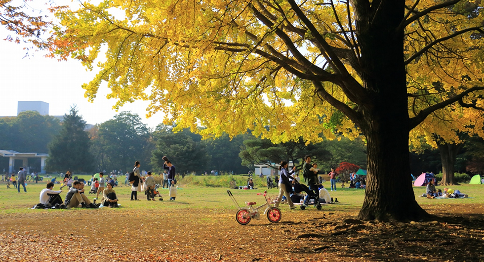 光が丘公園