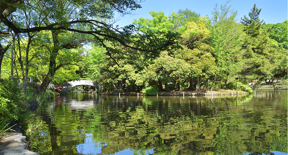 石神井公園