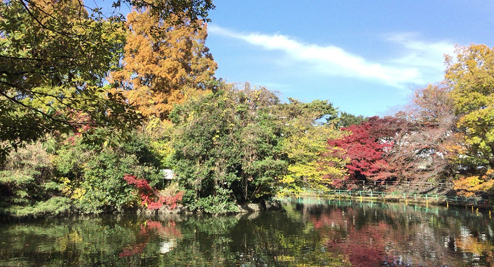 武蔵関公園