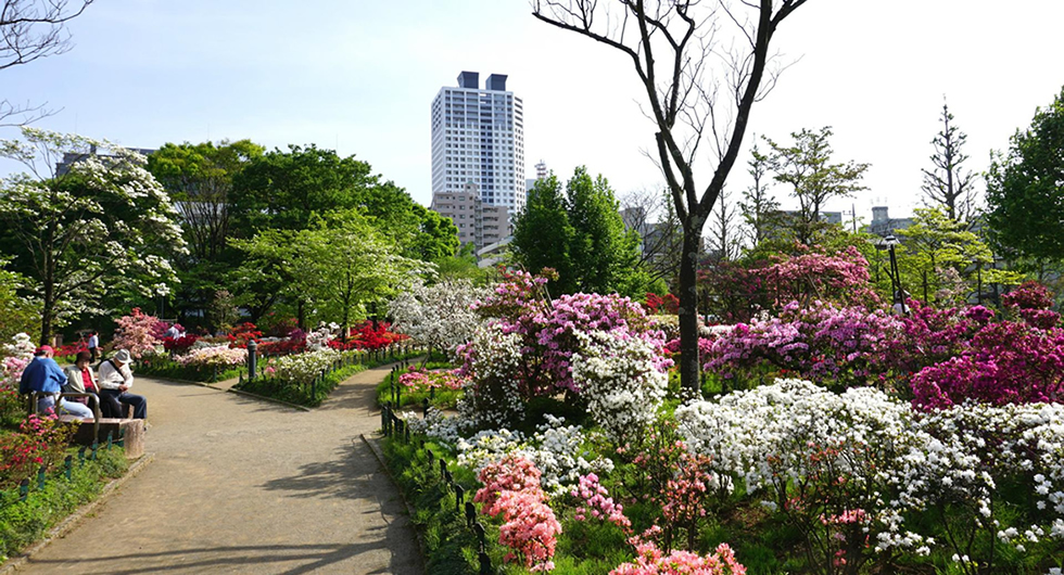 平成つつじ公園