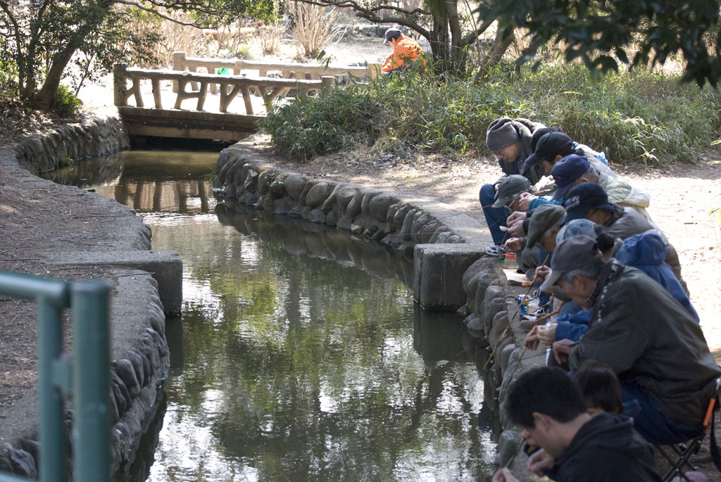 画像参照：野鳥の庭 in Nerima Tokyo