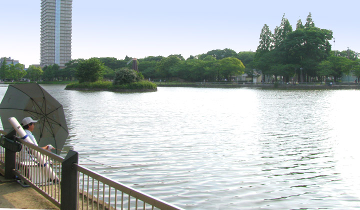 画像参照：浮間公園の池