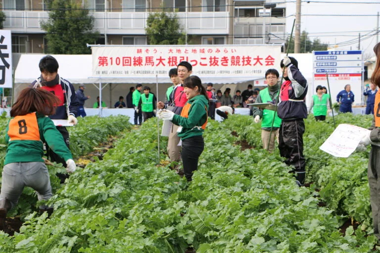 練馬大根