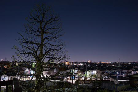 練馬区の夜景